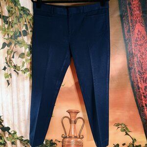 EUC Banana Republic 10 Navy Blue Sloan Skinny Ankle Pants Professional Stretch